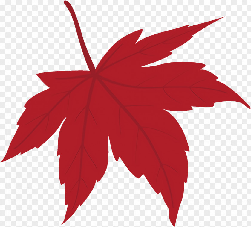 Sweet Gum Maple Leaf Fallen Dead PNG