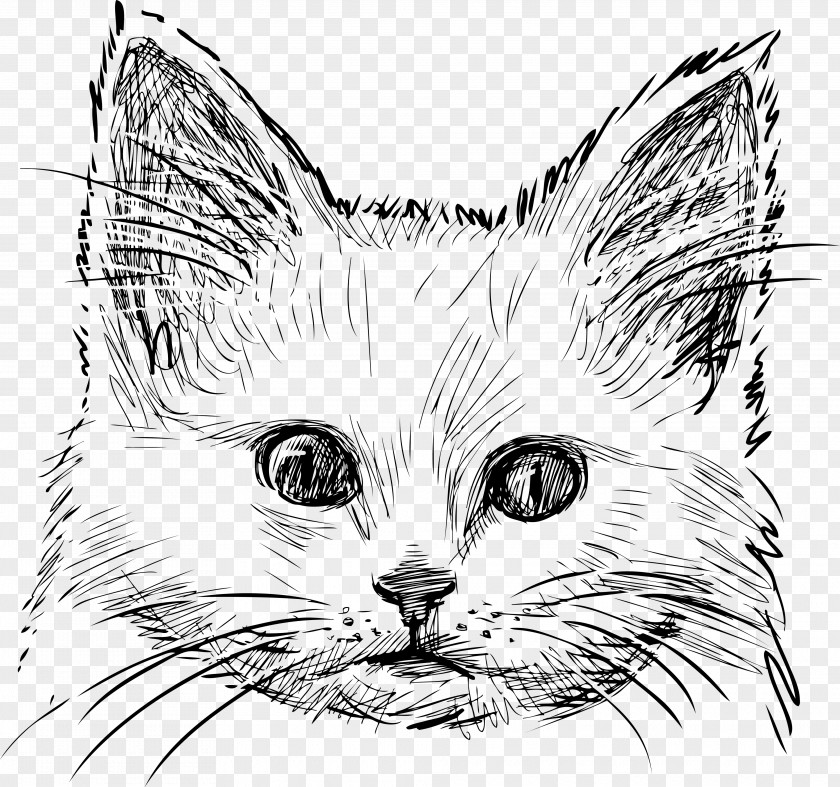 Vector Cat Logo Kitten Drawing PNG