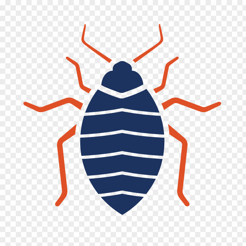 Big D Pest And Termite Services Control Bombus Lapidarius Bed Bug PT. Suryajaya Abadiperkasa PNG