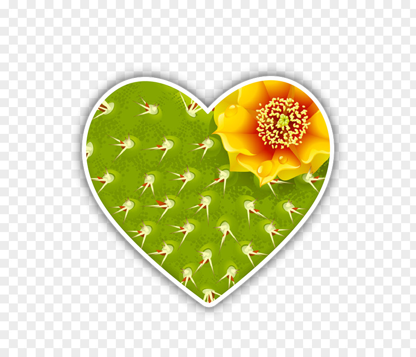Lgbt Heart Cactaceae Prickly Pear Saguaro Thorns, Spines, And Prickles Succulent Plant PNG