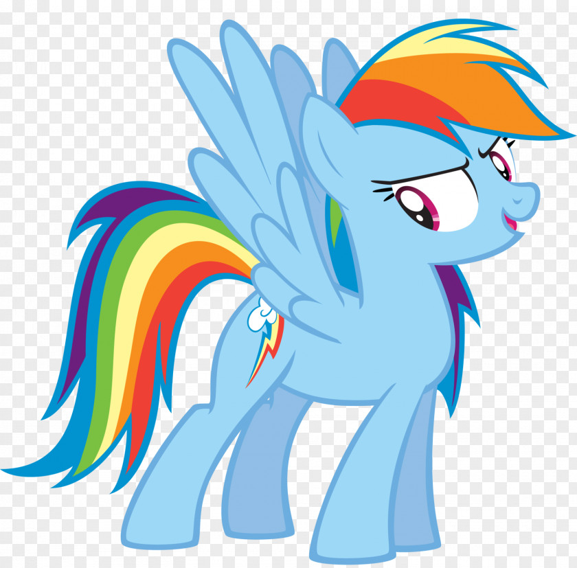 My Little Pony Rainbow Dash Wikia PNG