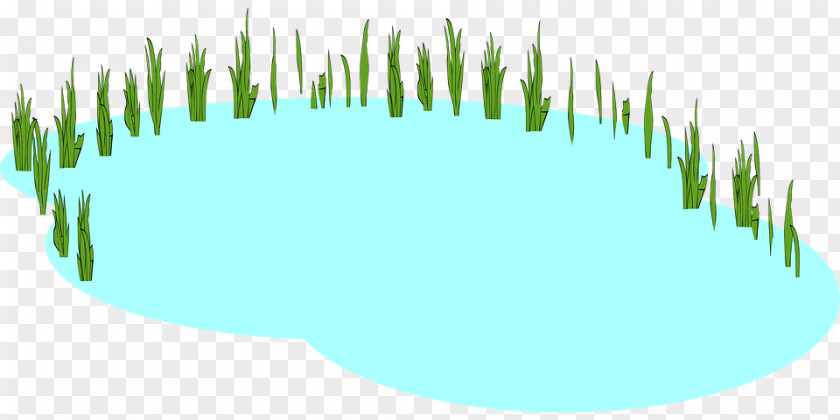 Pond Clip Art Image Vector Graphics PNG