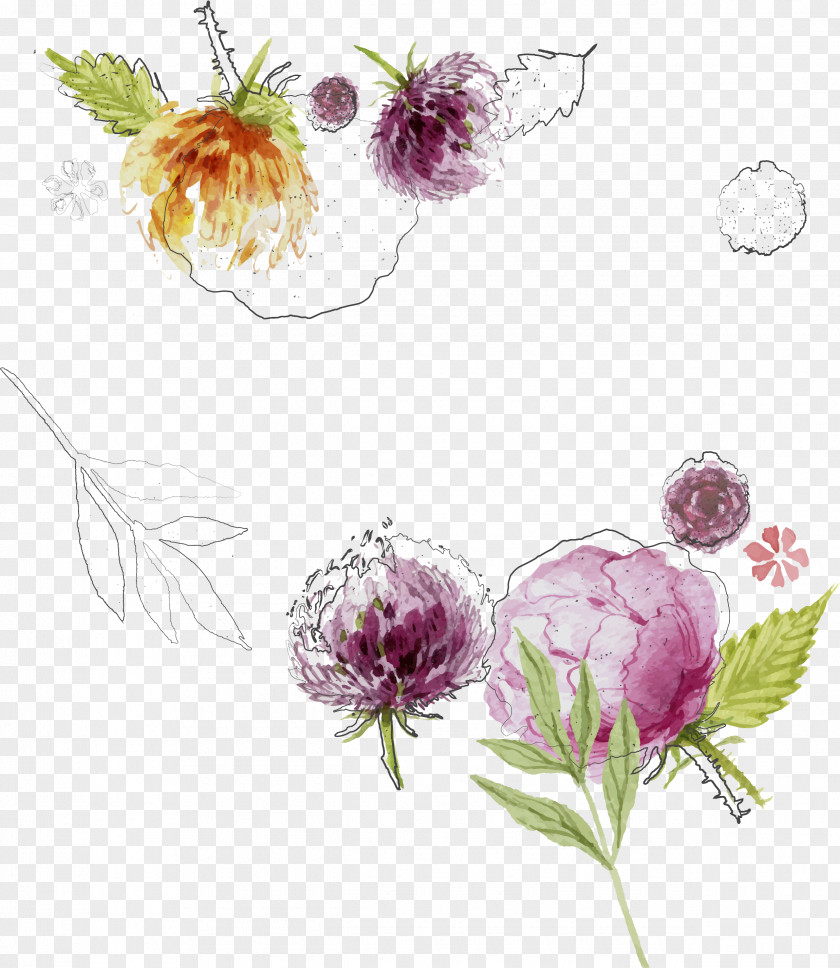 Watercolor Paint Wildflower Flower Plant Flowering Red Clover PNG