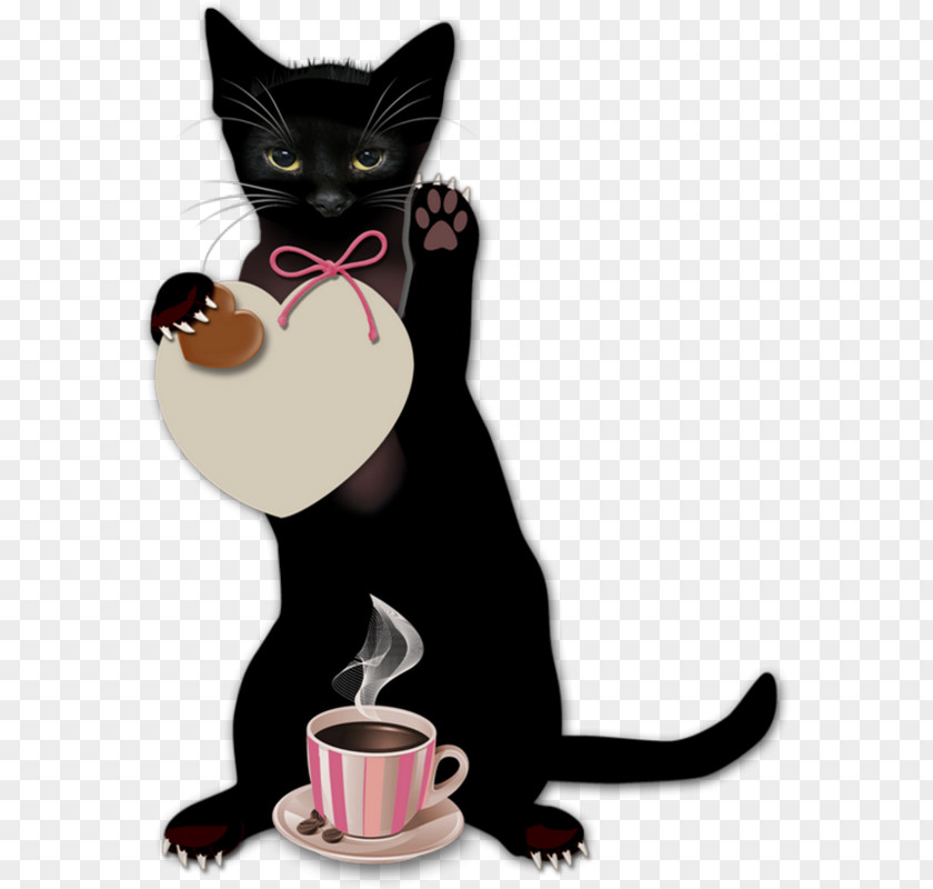 Cat Friday The 13th Coffee Luck Hotel PNG