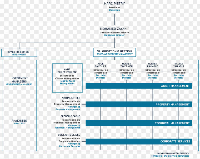 Design Brand Organization Diagram PNG