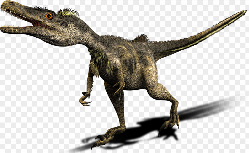 Dinosaur Deinonychus Late Cretaceous Velociraptor Mongoliensis PNG