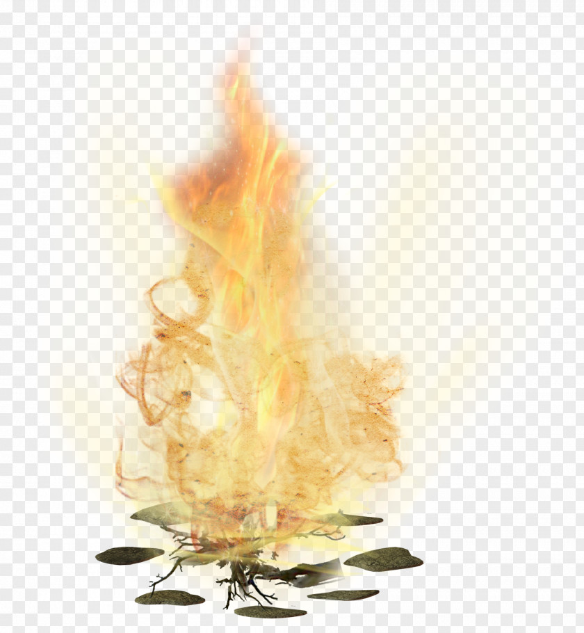 Fire Flame Fireplace PNG