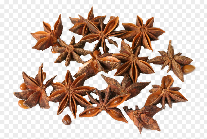 Greas Star Anise Spice Tarragon Oil PNG