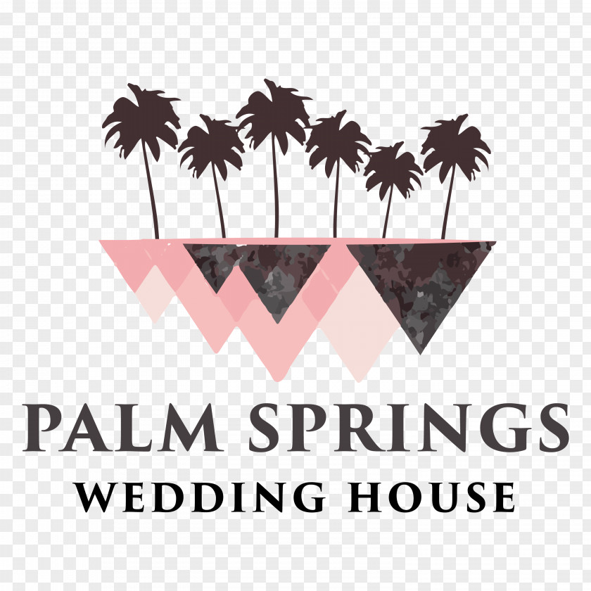 House Palm Springs Photography Wedding San Jacinto Mountains PNG