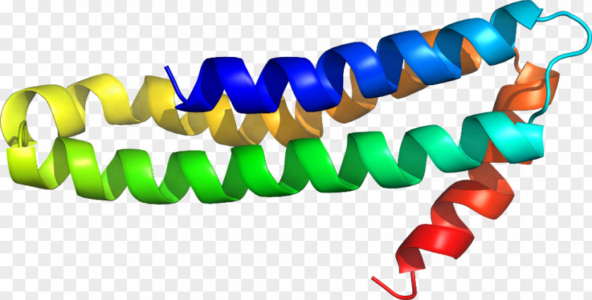 Line Leptin Structure Clip Art PNG