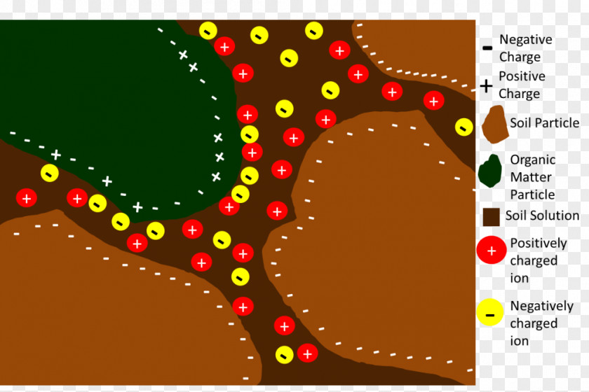 Nutrient Soil Health Ion Exchange Electric Charge PNG