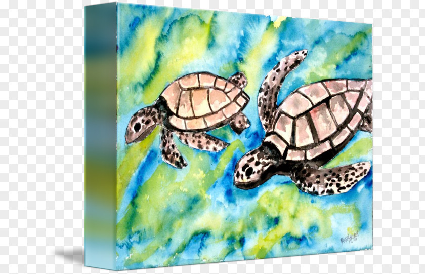 Turtle Loggerhead Sea Gallery Wrap Canvas PNG