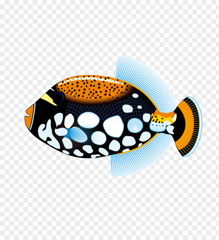 Color Eyes Marine Fish Vector Tropical Saltwater Clip Art PNG