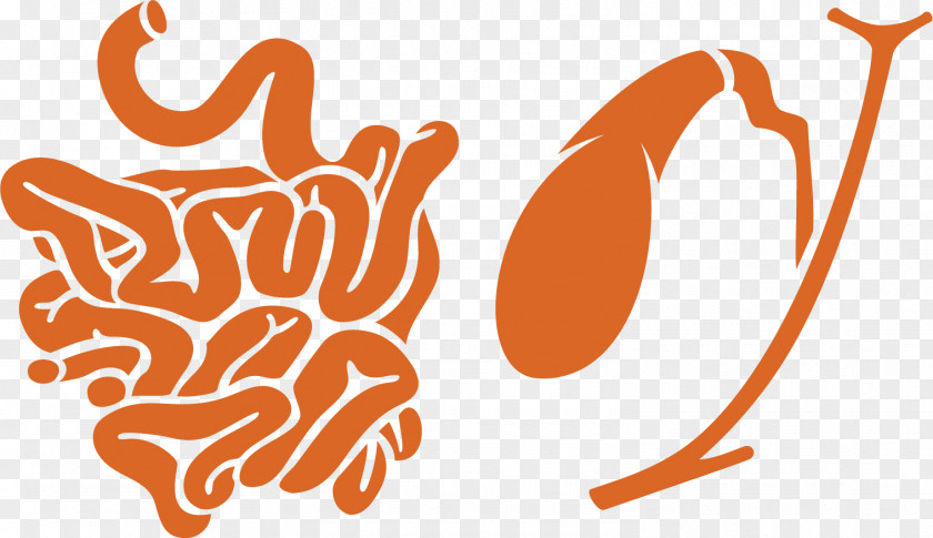 Intestines Model Vector Elements Dipeptidyl Peptidase-4 Inhibitor Glucagon-like Peptide-1 Mechanism Of Action Pharmaceutical Drug PNG