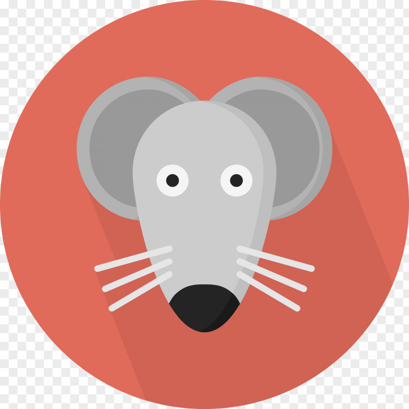 Mouse Computer Rodent Cat PNG