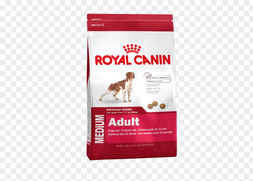 Puppy Dog Food Labrador Retriever Cat Royal Canin PNG