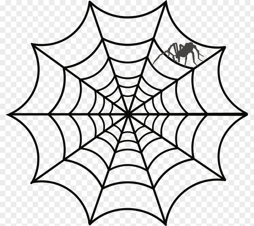 Spider Web Drawing Clip Art PNG