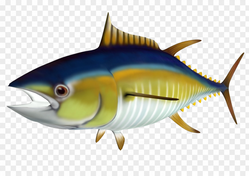 Tuna Cliparts Atlantic Bluefin Yellowfin Clip Art PNG