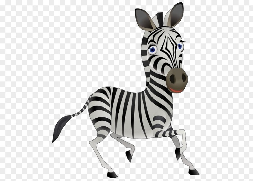 Zebra Clip Art Image Vector Graphics Cartoon Baby PNG