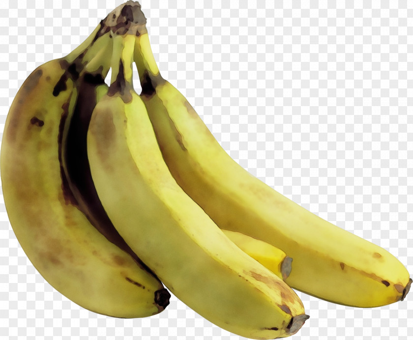 Agriculture Superfood Cartoon Banana PNG