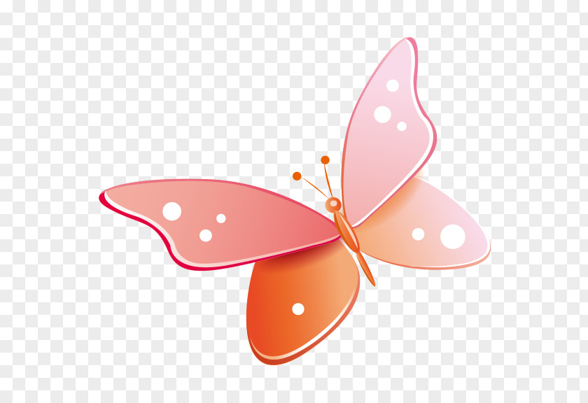 Butterfly Clip Art PNG