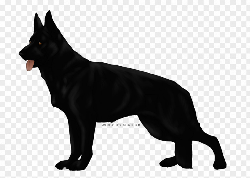 Dog Eyes German Shepherd Kunming Wolfdog Schipperke Australian Kelpie Golden Retriever PNG