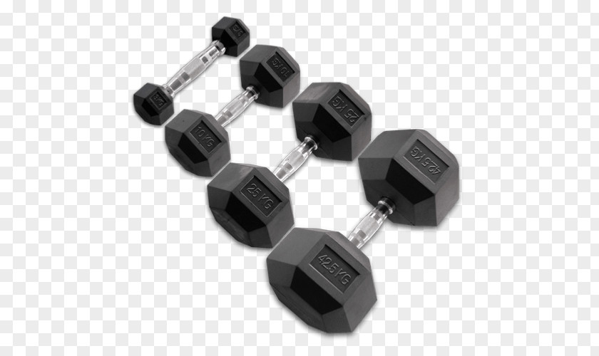 Dumbbell Natural Rubber Olympic Weightlifting Weight Training PNG