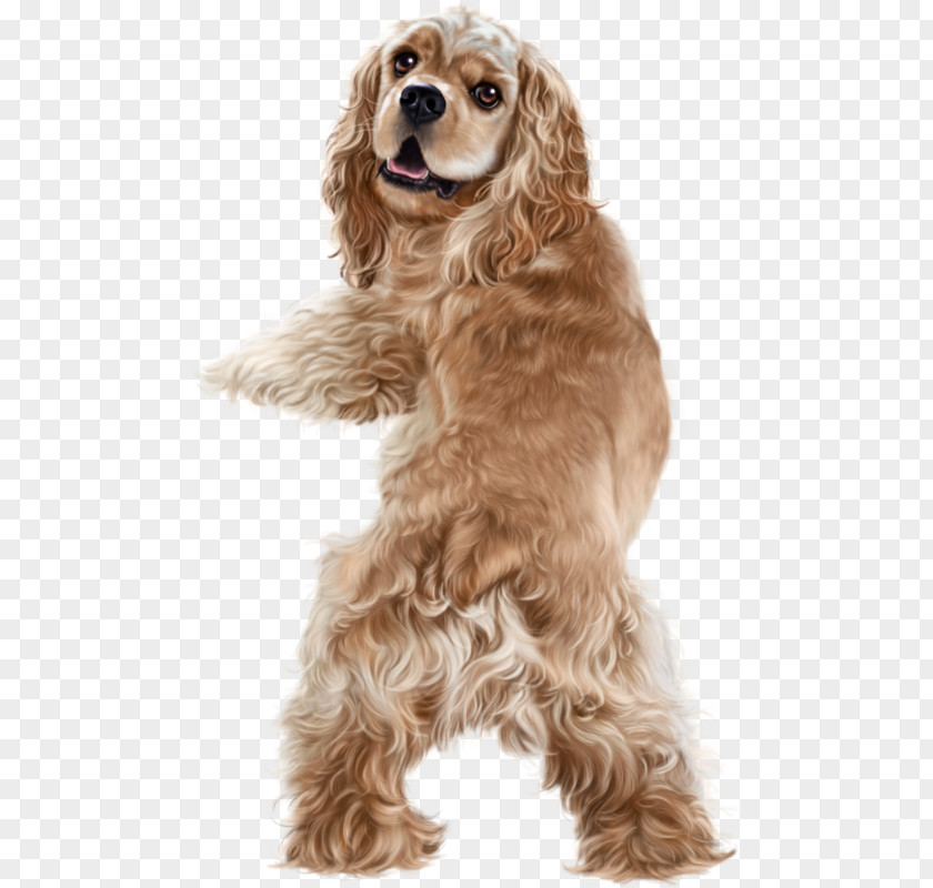 Golden Retriever American Cocker Spaniel Field English Clumber PNG