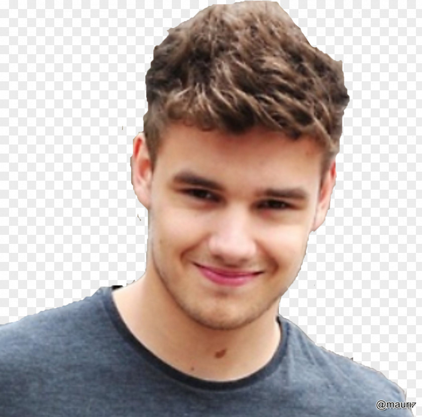 Liam Payne The X Factor One Direction Up All Night Boy Band PNG