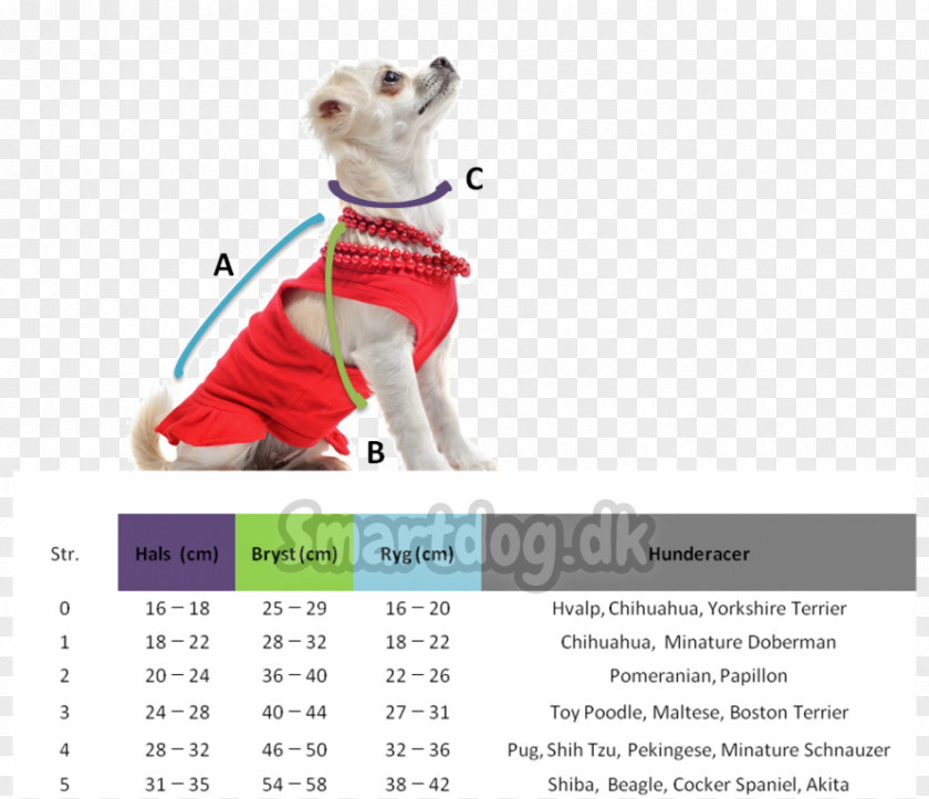 Seleção Calendar Leash Brand Font PNG