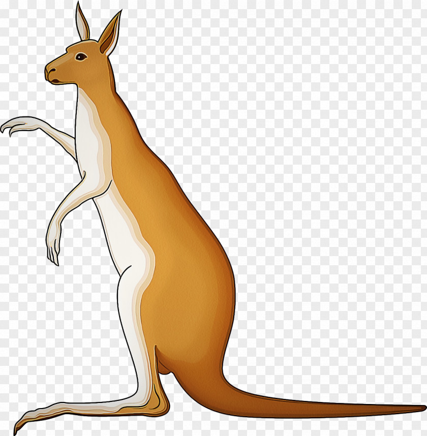 Terrestrial Animal Figure Kangaroo Macropodidae Wallaby Red PNG