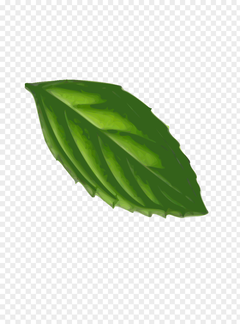 Banana Leaves Peppermint Leaf Clip Art PNG