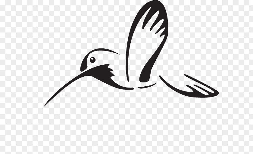 Bird Beak Water White Clip Art PNG