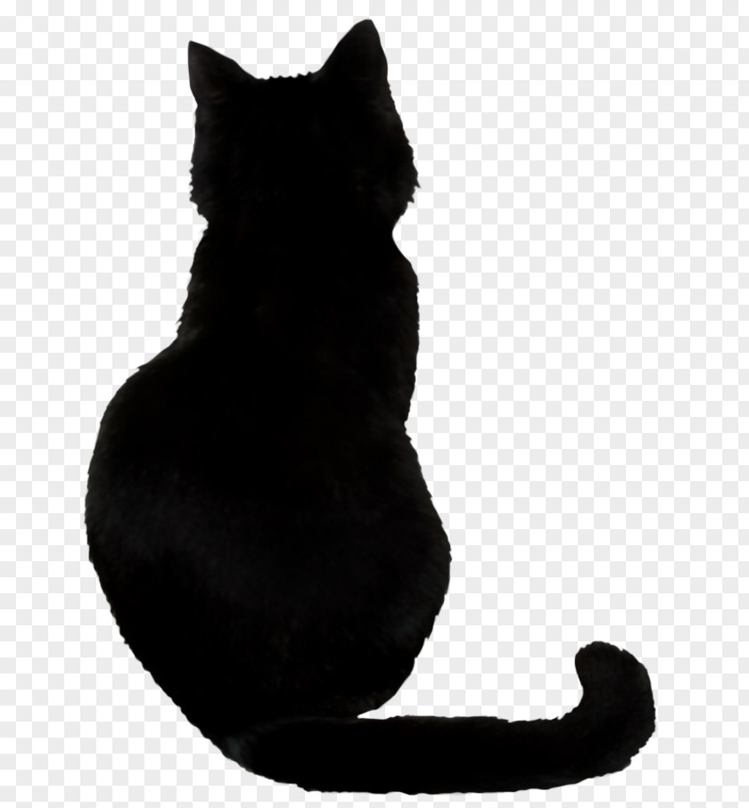 Black Transparent Bombay Cat Savannah Le Chat Noir Felidae Wildcat PNG