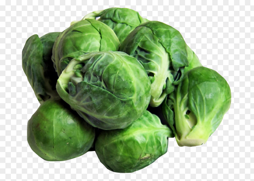 Cabbage Brussels Sprouts Vegetarian Cuisine Vegetable Sprouting PNG