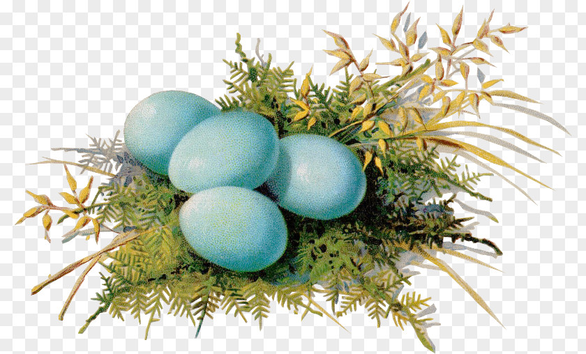 Egg Casserole Shirred Eggs Recipe Bisquick PNG