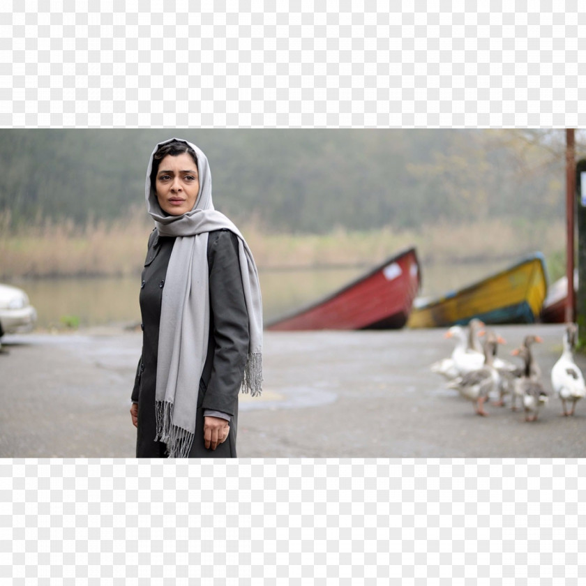 Nahid Iran Stock Photography Film Director PNG