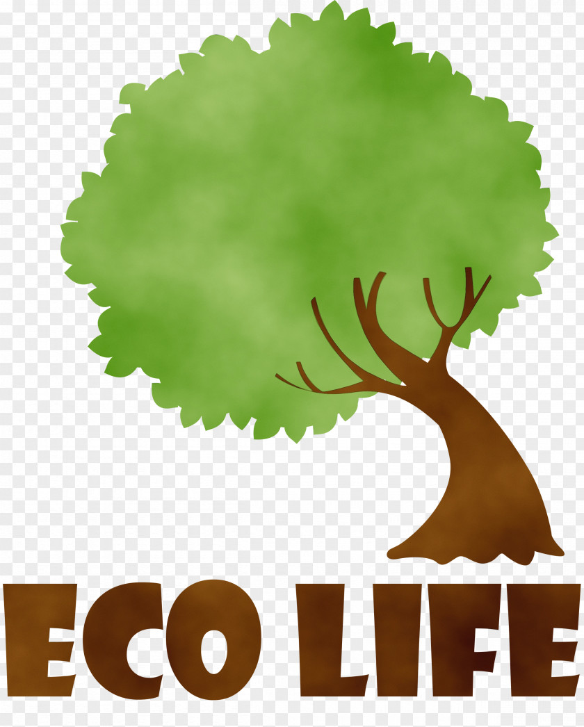Root Branch Logo Silhouette Tree PNG