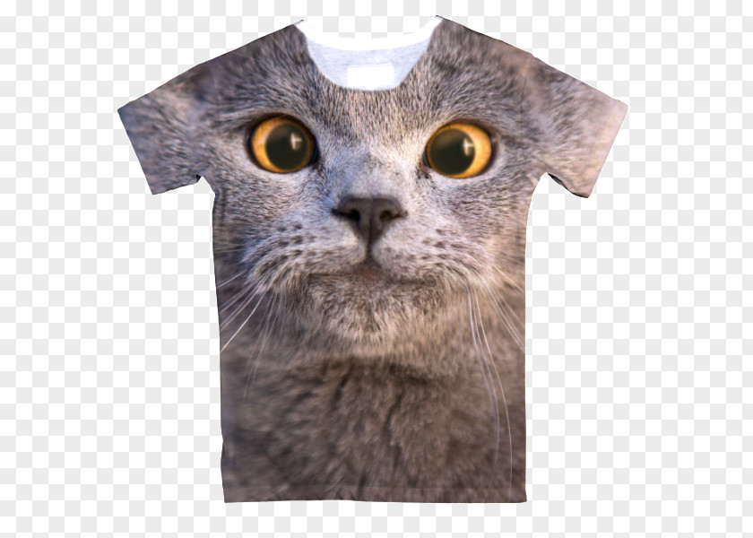 T-shirt YouTube Aaron's, Inc. Cat Musician PNG