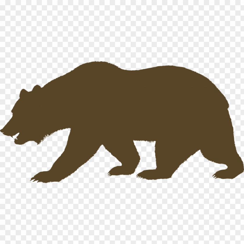 Bear California Grizzly American Black Republic PNG
