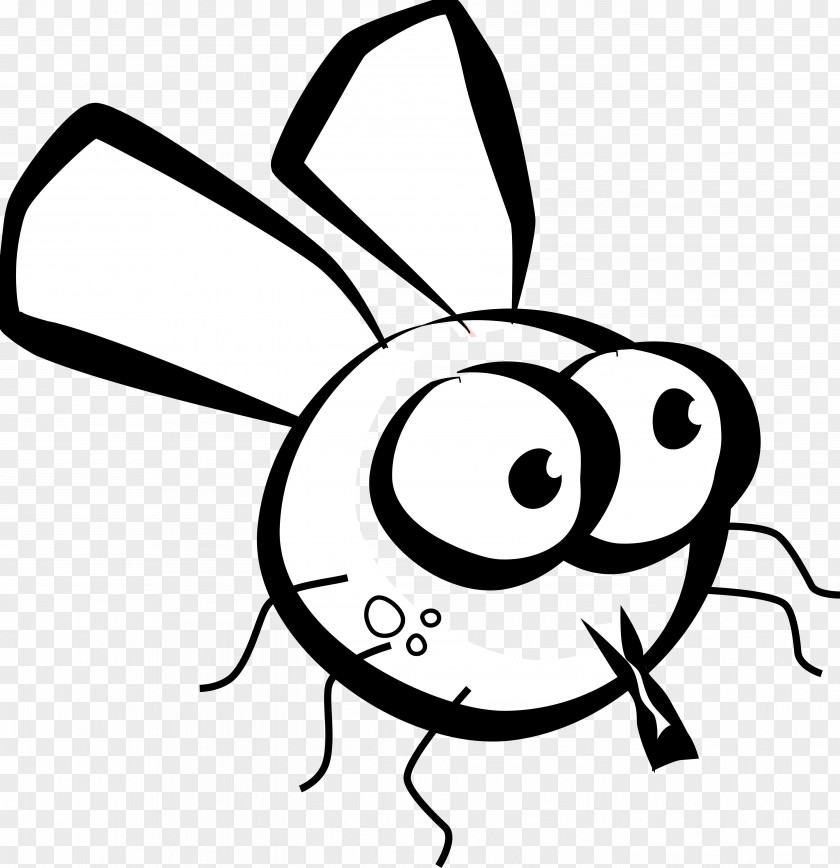 Cartoon Picture Of A Fly Insect Housefly Clip Art PNG