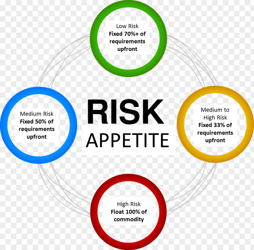 Risk Analysis Management Plan IT PNG