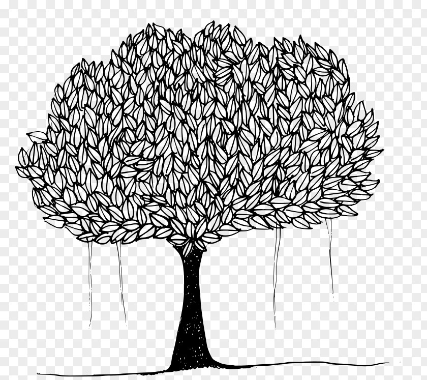 Banyan Tree Ficus Religiosa Clip Art PNG