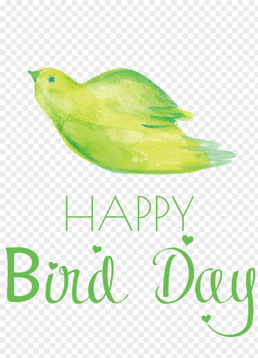 Bird Day Happy International PNG