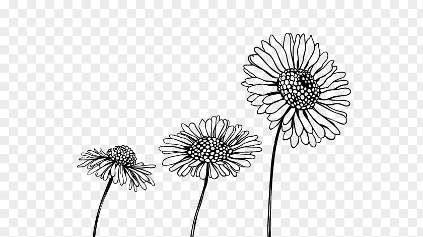 Color Pages Drawing Cut Flowers Black And White PNG