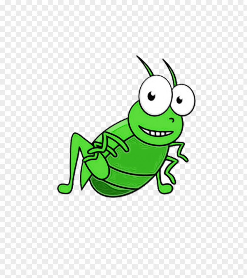 Cricketlike Insect Line Art Green Cartoon Grasshopper Clip PNG