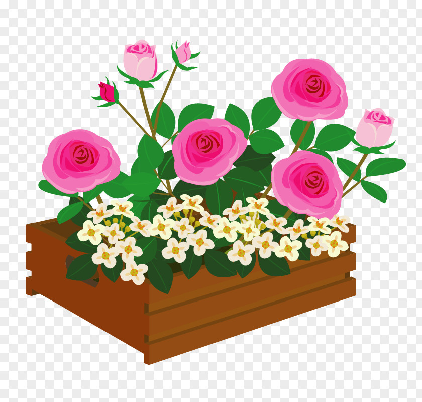 Flower Garden Roses Illustration Floral Design Bouquet PNG
