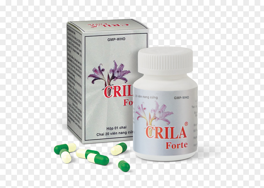 Forte Benign Prostatic Hyperplasia Sinus Infection Therapy Prostate PNG