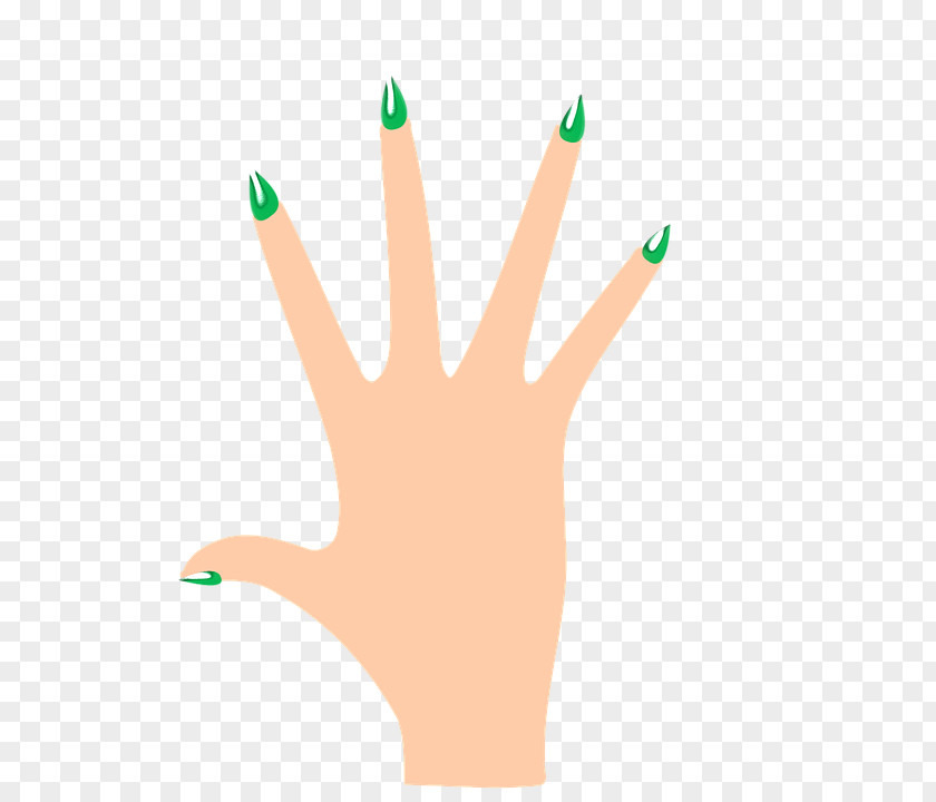 Nail Hand Model Finger Thumb PNG