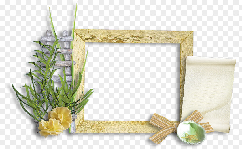 Picture Frames Borders And Floral Design Clip Art PNG